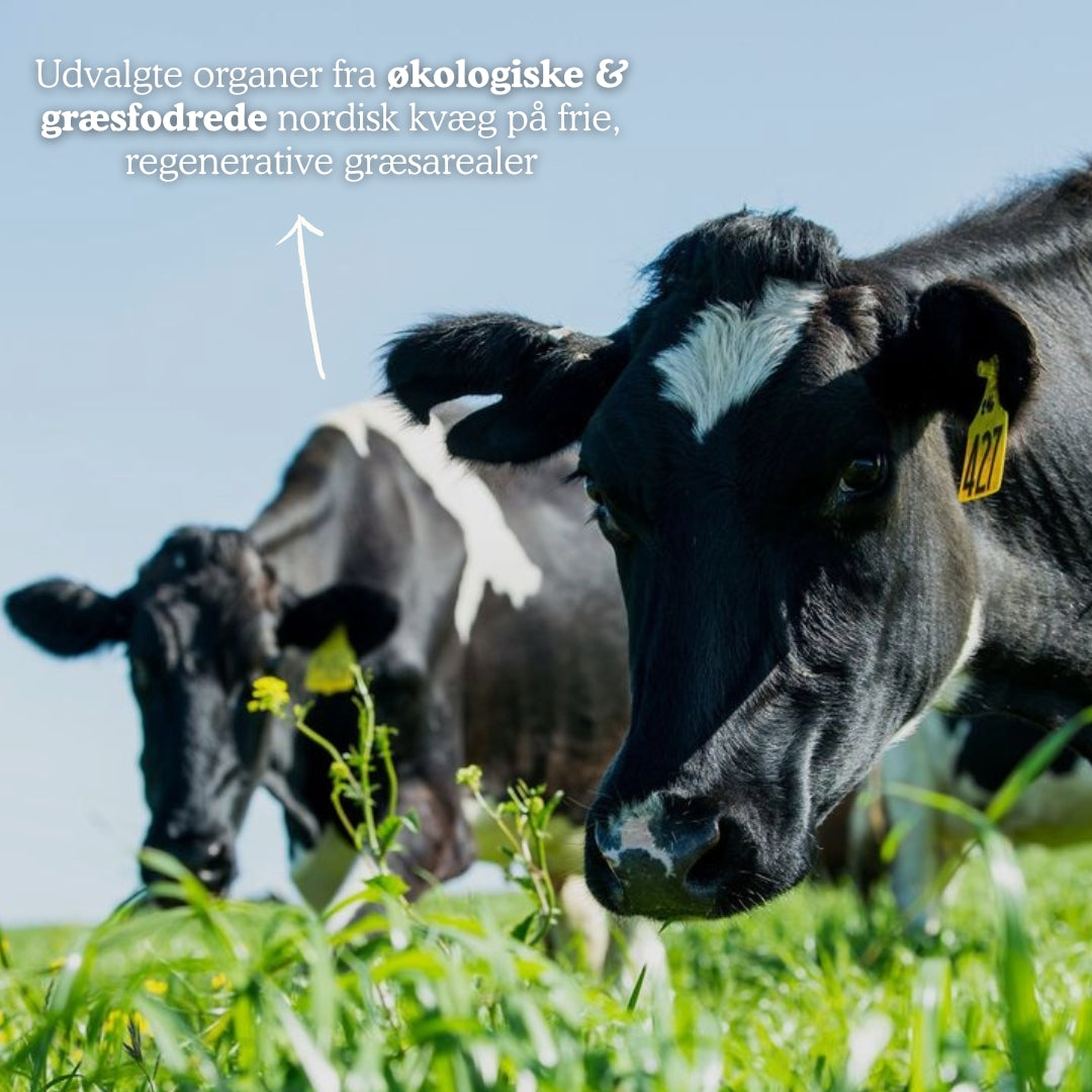 Organic Organ Matrix