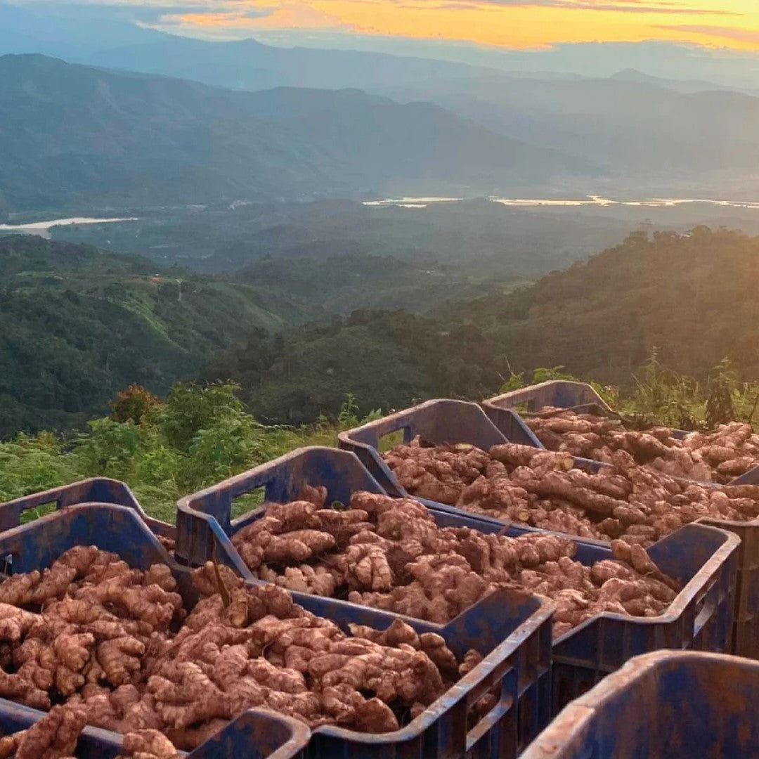 Kroppen kender årstiden