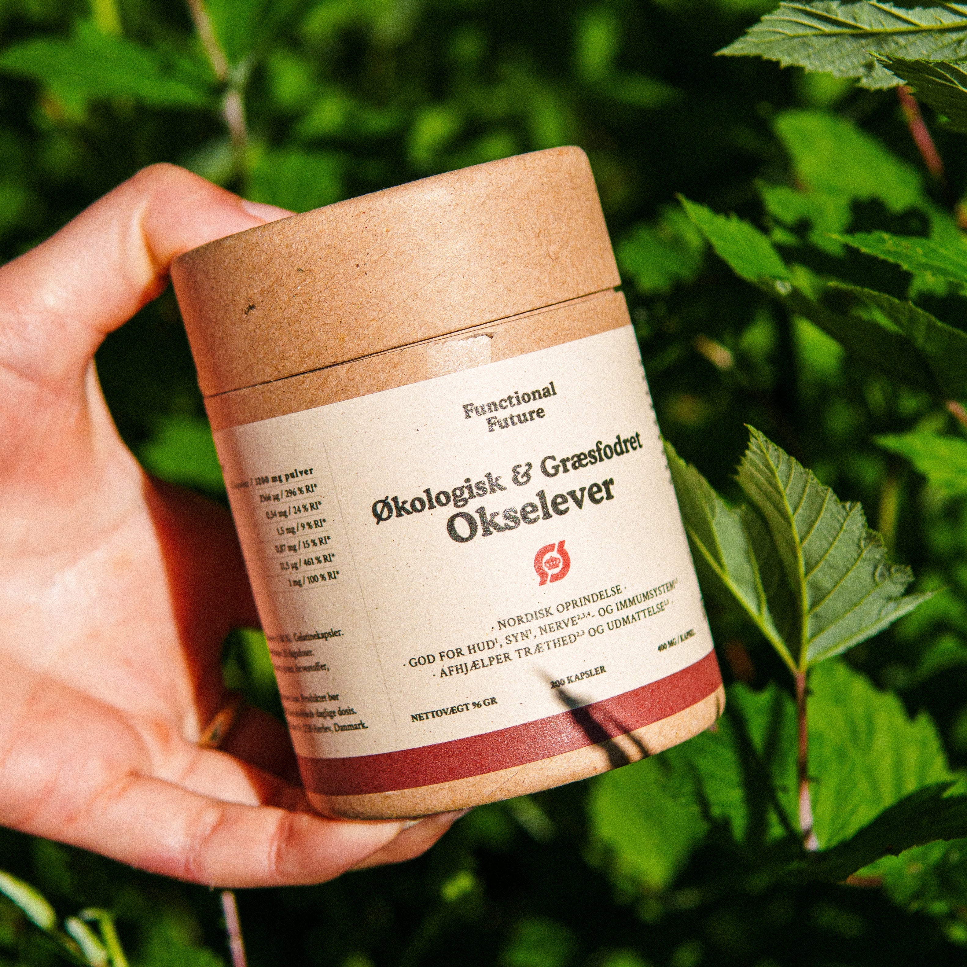 Lever vs. organ-matrix: Sådan vælger du det rigtige organ-supplement